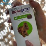 قرص ضد کک و کنه سگ نژاد متوسط(20_10 KG) براوکتو ترکیه Bravecto Flea and Tick Chew Dogs Turkey (10_20 kg