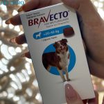 قرص ضد کک و کنه سگ نژاد متوسط (40_20 KG) براوکتو ترکیه Bravecto Flea and Tick Chew Dogs (20_40 kg)
