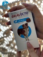 قرص ضد کک و کنه سگ نژاد متوسط (40_20 KG) براوکتو ترکیه Bravecto Flea and Tick Chew Dogs (20_40 kg)