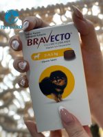 قرص ضد کک و کنه سگ نژاد مینیاتوری (4.5_ 2 KG) براوکتو ترکیه Bravecto Flea and Tick Chew Dogs Turkey (2 _4.5kg)