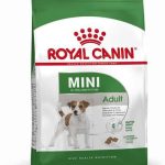 غذای سگ رویال کنین مینی ادالت (نژاد کوچک) 2 کیلو |  Mini Adult Royal Canin