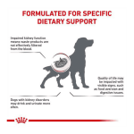 غذای خشک درمانی سگ رویال کنین رنال (نارسایی کلیه) – 2 کیلو | Royal Canin Renal Royal Canin Renal Dry Dog Food - تصویر 2