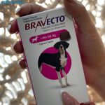 قرص ضد کک و کنه سگ براوکتو (40 تا 56 کیلو) | BRAVECTO Chew