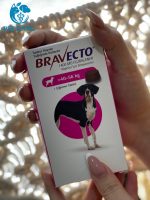 قرص ضد کک و کنه سگ براوکتو (40 تا 56 کیلو) | BRAVECTO Chew