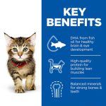غذای هیلز بچه گربه طعم مرغHill’s Science Plan Kitten Food with Chicken7kg - تصویر 2