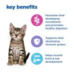 غذای خشک بچه گربه هیلز | مناسب گربه باردار/شیرده | 1.5 کیلو | Multi-Benefit Kitten Food Multi-Benefit Dry Kitten Food with Chicken Hill’s Vet Essentials - تصویر 2