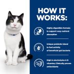 غذای خشک گربه هیلز درمانی گوارش (8 کیلوگرم) | Digestive Care i/d Digestive Care i/d Dry Cat Food with Chicken Hill’s Prescription Diet - تصویر 3